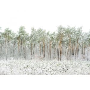 Photo Art Papier Peint INTISS&Eacute;-PIN-(216378)-8 l&eacute;s-400x260cm-Mural Poster G&eacute;ant XXL-Animaux Mer Beach Oc&eacute;an Nature For&ecirc;t