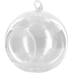2Pcs Dia.10cm Vase Suspendu en Verre Transparent Boule pour Plantes Fleurs D&eacute;coration de Jardin Maison