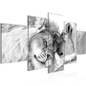 Runa art Tableau Décoration Murale Lions Amour 200x100 cm - 5 Panneaux Deco Toile Prêt à Accrocher 002151c