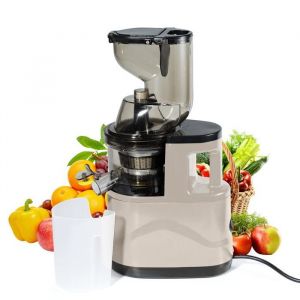Extracteur de jus puissant extracteur de jus centrifuge 500 W jus pur à 99 % pour jus de fruits et légumes blanc Sans BPA