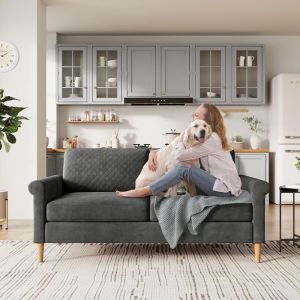 Canapé 2 Places Velours Gris – Moderne Scandinave – Bois Massif – Pour Petit Espace - 164x76x85cm