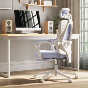 Chaise Gaming Ergonomique - Dowinx - Violet - Soutien Lombaire - Repose-Pieds - Réglable