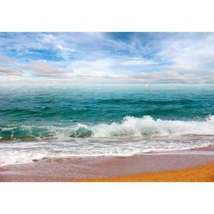 Papier Peint Photo INTISS&Eacute;-(13034V8T)- PLAGE VAGUES -368x254cm-8 l&eacute;s-Mural Poster G&eacute;ant XXL-Mer Beach Mer Oc&eacute;an Nature Jungle For&ecirc;t