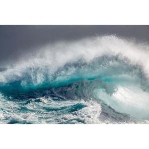 Papier Peint Art Photo INTISSÉ-GRANDE VAGUE DE LOCÉAN-(187067)-7lés-350x260cm-Mural Poster Géant XXL-Animaux Beach Mer Nature