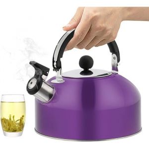 Bouilloire camping sifflante 18L acier inoxydable - Violet BOUILLOIRE TRADITIONNELLE