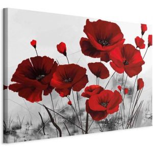 Tableau D&eacute;coration 60x40 cm Impression sur Toile Cadre en Bois Salon Chambre D&eacute;co Murale Tableaux Maison Fleurs Coquelicots Rouge