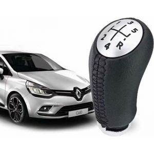 Pommeau de Vitesse Clio 3 – EN CUIR - Levier de Vitesse 5 Vitesses pour Laguna  Megane 2  Clio 4  Scenic  Kangoo
