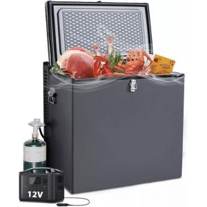 Réfrigérateur Congélateur-Gaz Réfrigérateur-70L-SMETA-12V/220V/Gaz-Noir