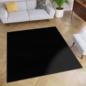 TAPISO Tapis Carré Salon Chambre MONO Noir Design Uni Résistant Intérieur Extérieur 120x120 cm