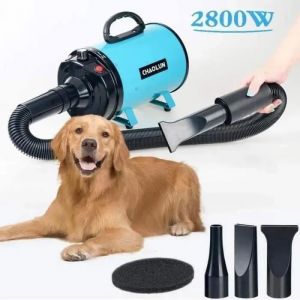 Toilettage S&eacute;choir Pulseur pour Chien 2800W Professionnel S&egrave;che-Poils pour Animaux De Compagnie avec Vitesse Et Multicolore SECHOIR