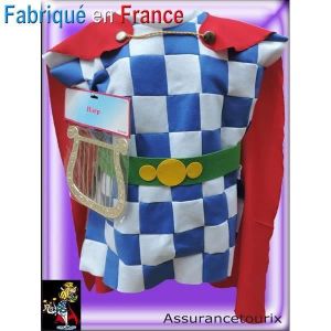 Déguisement de Barde - Assurancetourix - Tunique à damier bleu-blanc ceinture verte et cape rouge - Adulte