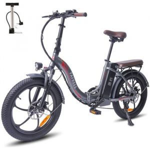 Vélo électrique 20 FAFREES F20 PRO Max 25 km/h 250W 36V 18Ah Vélo pliant Gris
