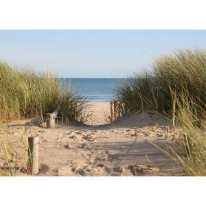 Papier Peint Photo INTISS&Eacute;-(22460)-PLAGE DE SABLE-500x280 cm-10 l&eacute;s-Mural Poster G&eacute;ant XXL-Beach-Plage Dune Mer Oc&eacute;an Nature Jungle