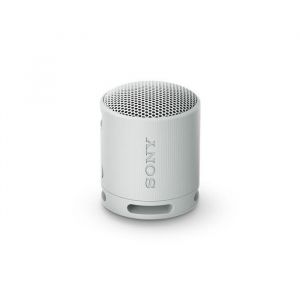 Enceinte sans fil bluetooth Ultra portable Sony SRS-XB100 Gris