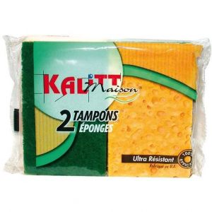Lot de 2 tampons éponge