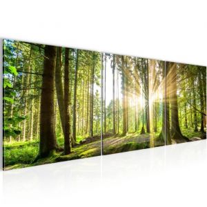 Runa art Tableau D&eacute;coration Murale Paysage For&ecirc;t 120x40 cm - 3 Panneaux Deco Toile Pr&ecirc;t &agrave; Accrocher 503833b