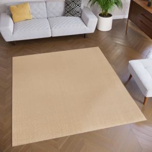 TAPISO Tapis de Salon Chambre Carr&eacute; MONO Beige Design Uni R&eacute;sistant Int&eacute;rieur Ext&eacute;rieur 120x120 cm