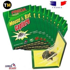 Piège Raticide Souricide Glue Colle Anti Souris Rat Rongeur Anti Parasitaire 2pcs