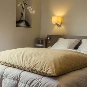 Édredon gonflant - CASTEX COUETTES NATURELLES - Jacquard beige - 90x150 cm - 90% duvet neuf