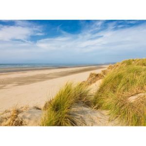 Papier Peint Photo Murale INTISS&Egrave; (788) PLAGE DE SABLE-300x223cm-Tapisserie d&rsquo;&Egrave;cran Affiche Poster Herbe Beige Ciel Ocean XXL