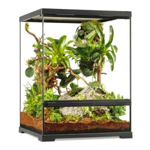 Terrarium Paludarium 45x45x60cm Reptile Et Amphibien Pro Terrarium Pt4405 - Exo Terra