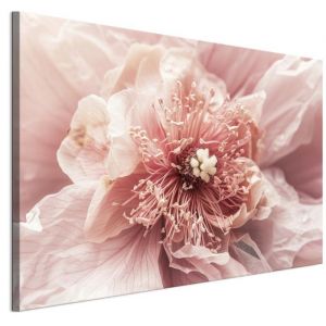 Tableau Decoration Murale - LUMASOUL - 2-2-3-0-2-2-5-1 - &Eacute;clectique Motif - 1 parties - Rose - 120x80 cm