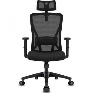 Durrafy Chaise Bureau Ergonomique avec Support Lombaire RéglableRoullettes Fauteuil de Bureau Appuie-Tête et Accoudoir Réglables