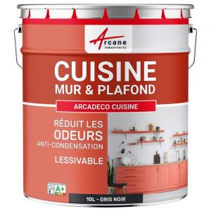 Peinture cuisine mur et plafond lessivable anti odeur & anti condensation : Arcad&eacute;co Cuisine  10 L - Gris Noir - RAL 7021
