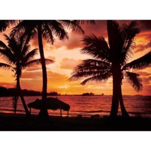 Papier Peint Photo INTISS&Eacute;-(305V) PLAGE DE PALMIERS-350x260cm-7 l&eacute;s-Mural Poster G&eacute;ant XXL-Scarface Mer Beach Oc&eacute;an Nature Tropical