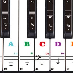 Apprendre le Piano Autocollant pour Notes de Piano Clavier à Enlever sans RésidusAutocollant Piano pour 49 54 61 88 Touches