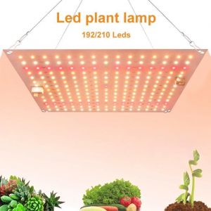Lampe Horticole LED Croissance Floraison - MIOLOE - Panneau LED rectangulaire 210LED - Blanc - Electrique