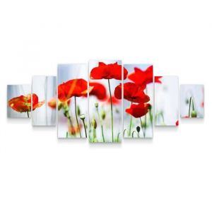 Startonight Grand Format Tableau Impression Sur Toile - Coquelicots dun Rouge Passionn&eacute; - Fleurs xxl 7 pieces Set 100 x 240 cm