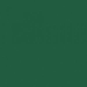 Lot de 12 serviettes - DUNI - Jetable - Dunisoft bio - 4 plis - 40x40cm - Vert fonc&eacute;