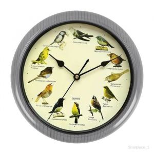 Horloge murale - M&eacute;lodique - 25 cm - Gris - Oiseaux sauvages chantants - D&eacute;coration int&eacute;rieure