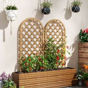 Lot de 2 treillis en bois - panneau arc pour plantes grimpantes - dim. un panneau : 60L x 120H cm