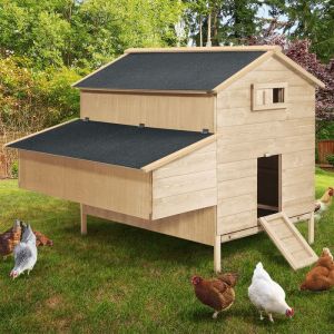 Poulailler chalet XXL pour poules avec pondoir en bois