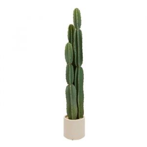Plante artificielle cactus Sien H132cm - Atmosphera Cr&eacute;ateur dint&eacute;rieur