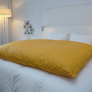 &Eacute;dredon gonflant - CASTEX COUETTES NATURELLES - Jacquard or - 90x150 cm - 90% duvet neuf