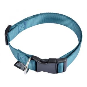 Collier Réglable pour Chien Essentiel 35cm Émeraude