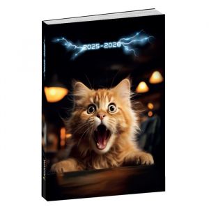 Agenda scolaire Chat Surpris ANONYM 2025-2026