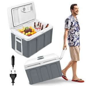 Glaci&egrave;re &eacute;lectrique en Voiture - NAIZY - 48 L - Refroidissement et R&eacute;chauffement - Blanc/Gris