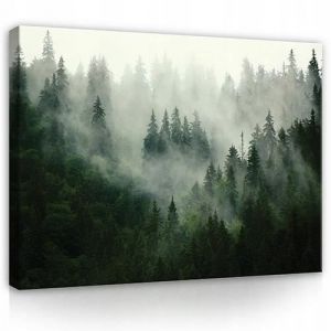 Tableau D&eacute;coration Murale Foret Nature 120x80 cm Impression sur Toile intissee Tableaux pour Salon Chambre Couloir pret a accrocher