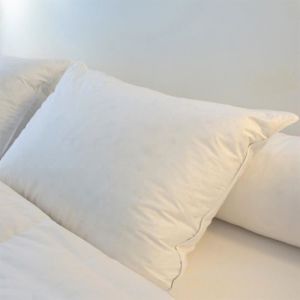 Oreiller Plumes Castex - 50x70cm