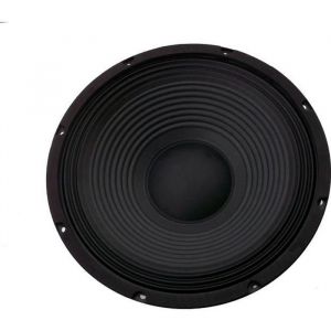 SkyTec SP1200 - Haut-parleur 12 pouces (30 cm) 300 Watts