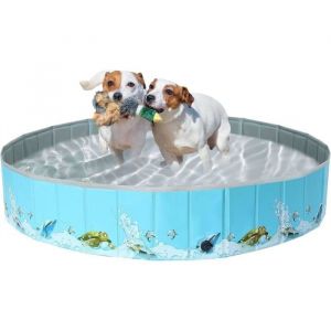 Pataugeoire Rigide En Plastique Avec 160 × 30Cm Grandes Piscines Pour Chiens Avec Portable Pvc Pour Chien Piscine Avec Chiot Pour
