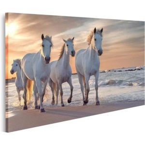 Tableau sur toile Troupeau de chevaux blancs DIY Cadre Affiche Poster Murale Tableaux 80x40cmBesoin de sassembler soi - même