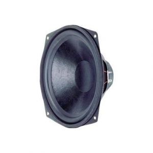 Haut-parleurs de graves - VISATON - WS 25 E - 10 - 80W - 8 Ohm - Noir