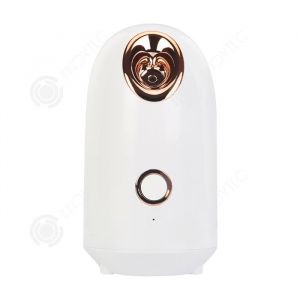 INN Sauna facial sauna spa facial vaporisateur facial pour les soins cosmétiques du visage Humidificateur appareil outils nettoyage