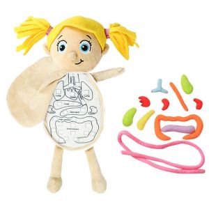 SURENHAP Jouet anatomie du corps humain Corps humain anatomie jouet corps humain orgue mod&egrave;le de poup&eacute;e anatomie jeux dactivite