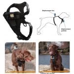 Kurgo Housse de protection de coffre pour chien 01730 Gris fonc/é Imperm/éable et anti-d/échirure Adapt/é /à la plupart des v/éhicules Cargo Cape Taille unique